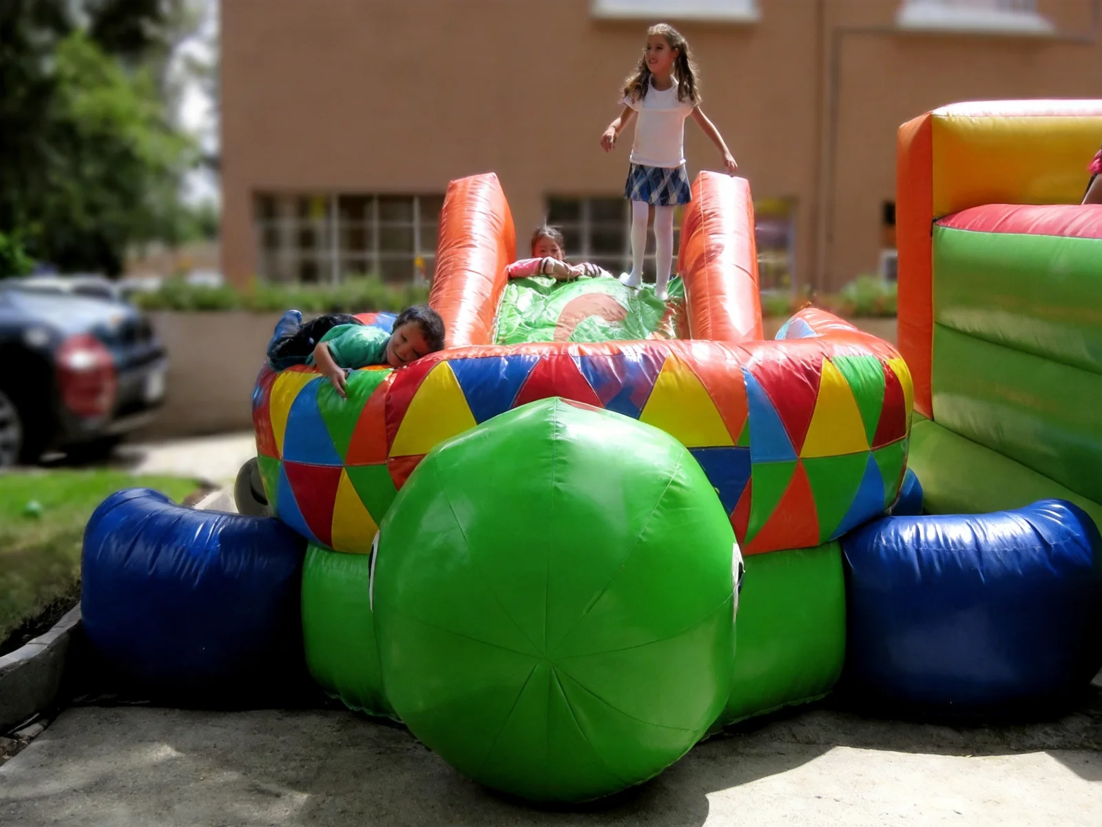 Alberquita de Pelotas